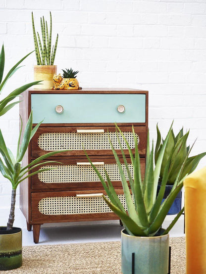 Space Galaxy Furniture Solid Sheesham Chest Of Drawers Rattan Cane | Storage Type: 4 Drawers | Finish:-Natural