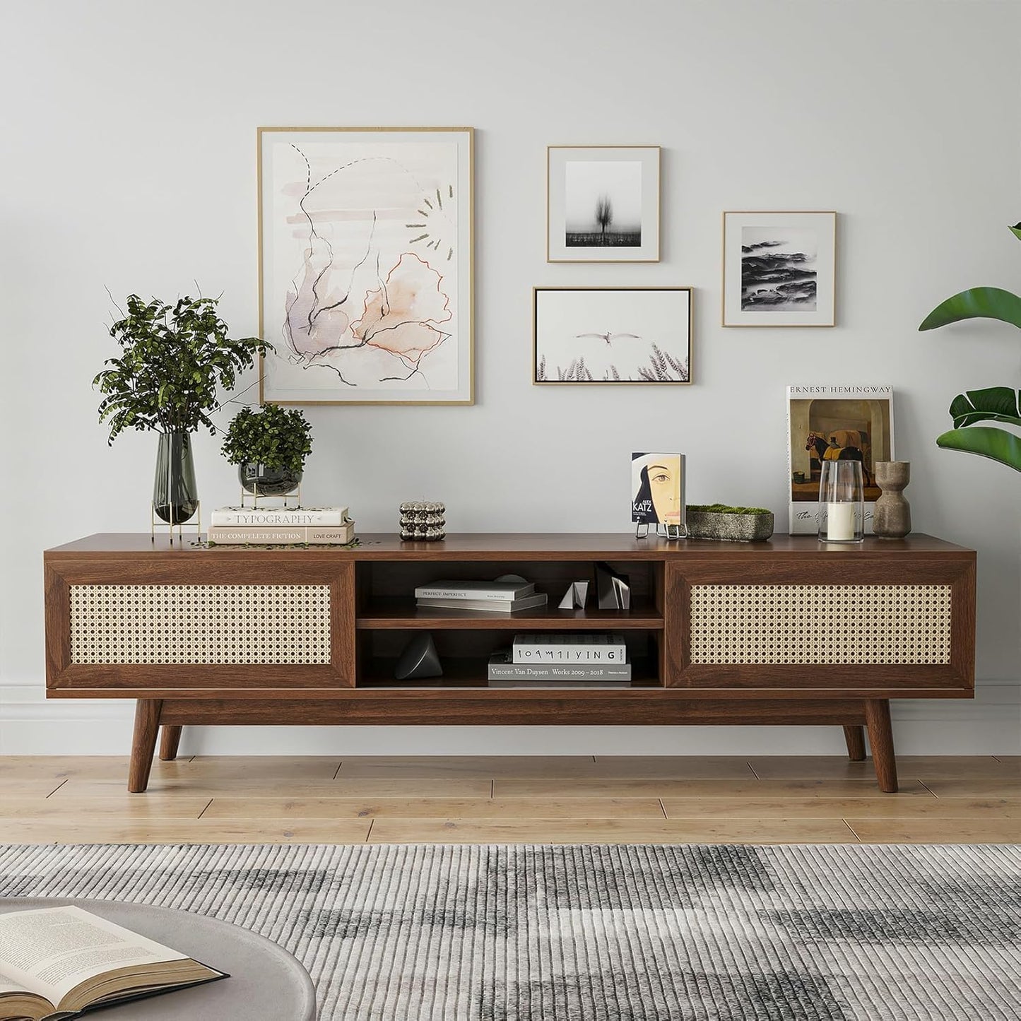 Space Galaxy Furniture Solid Sheesham TV Unit | Mid Century Modern TV Stand with Rattan Cane 2 Doors, & Two Shelf | Entertainment Cabinet | Dark Walnut